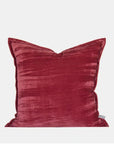Omnipink Texas Rose,Pink Luxury Velvet Throw Pillow for Living Room Sofa